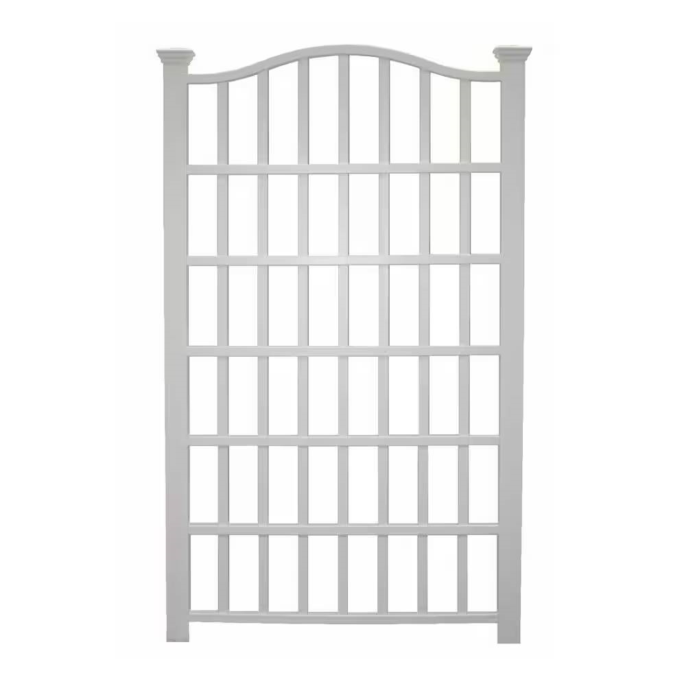 VGFNWGT191105436821-2